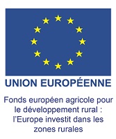 4 Logo UE FEADER couleur 002