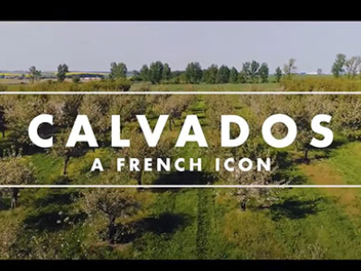 CALVADOS ON BOARD