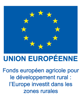 4 Logo UE FEADER couleur 002