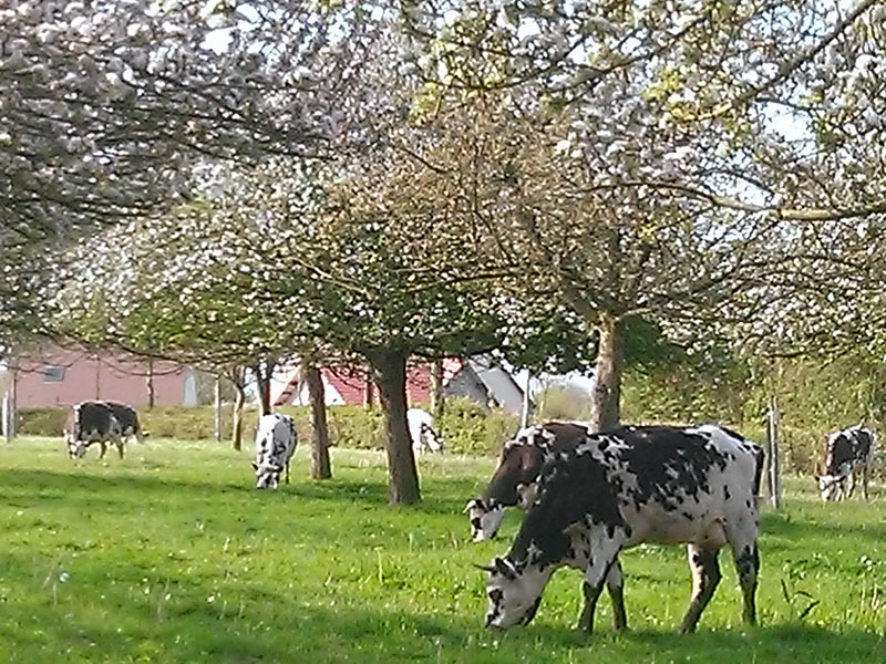 FERME DE LA VALLÉE AU TANNEUR