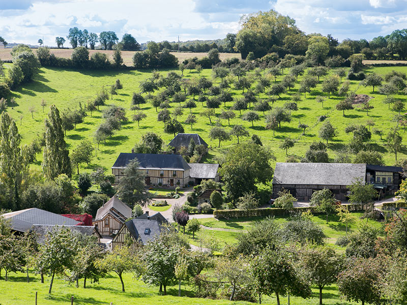 DOMAINE DE LA GALOTIERE