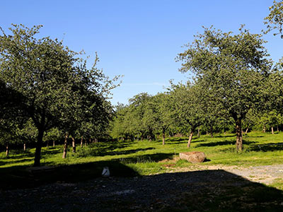 FERME DES PARQUETS